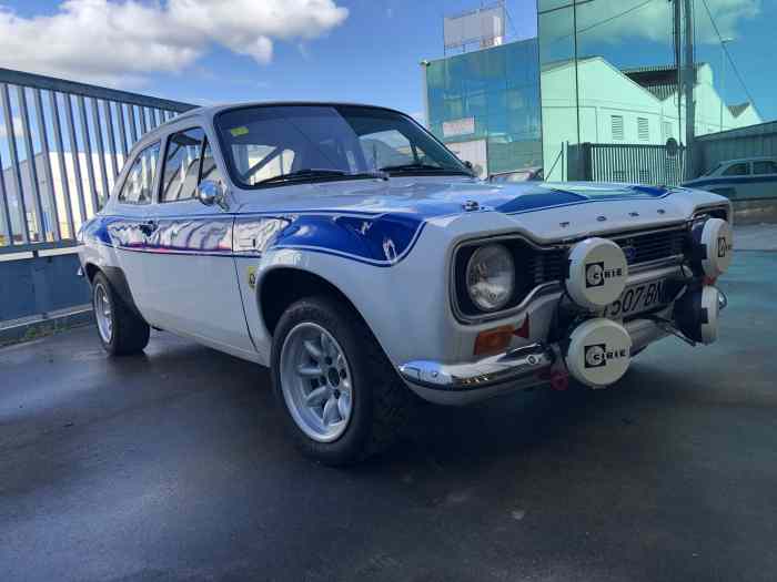 Ford Escort MK1 AVO Mexico - Twin Cam engine 4