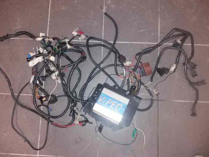 Gestion programmable Vipec V44 + faisceau