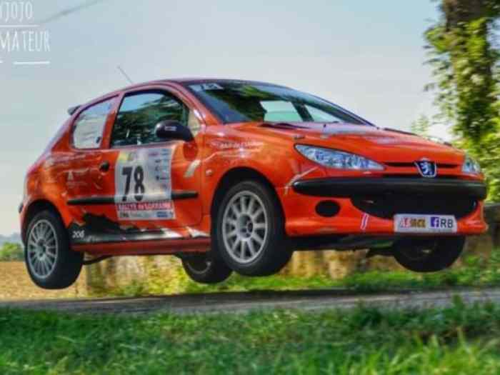 peugeot 206 f2000 13