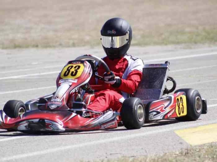 Karting x30 +remorque + équipement 1
