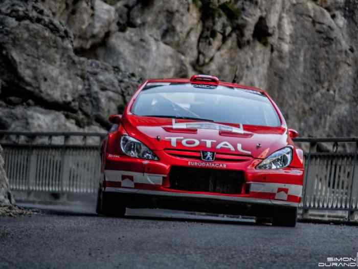 PEUGEOT 307 WRC 0