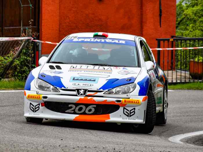 peugeot 206 Gr.A. 0