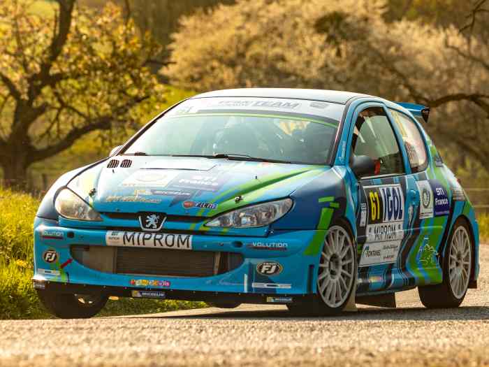 Peugeot 206 Maxi F2000/14 0