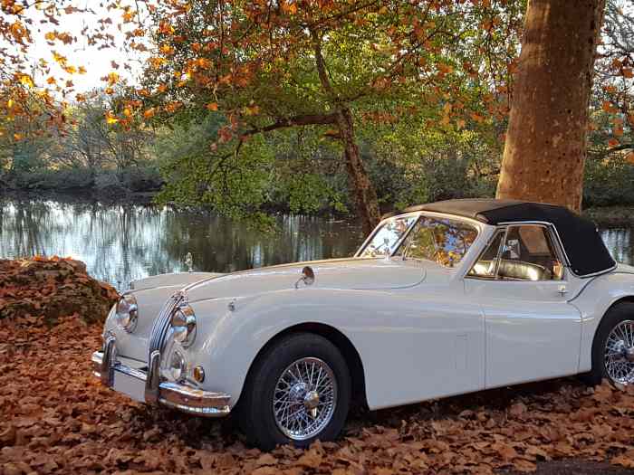 JAGUAR XK140 CABRIOLET DHC 1956 0