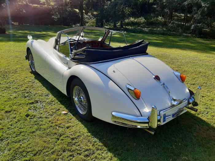 JAGUAR XK140 CABRIOLET DHC 1956 1