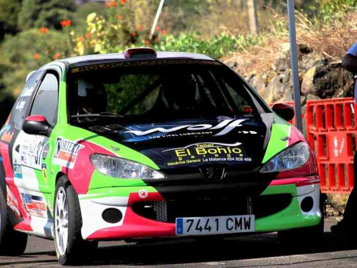 Peugeot 206 XS GRUPO A 5