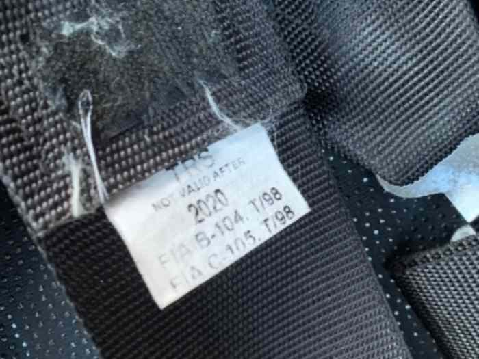 Baquet harnais oreca 2