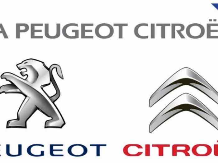 Pièces Citroen Saxo VTS / Peugeot 106 S16