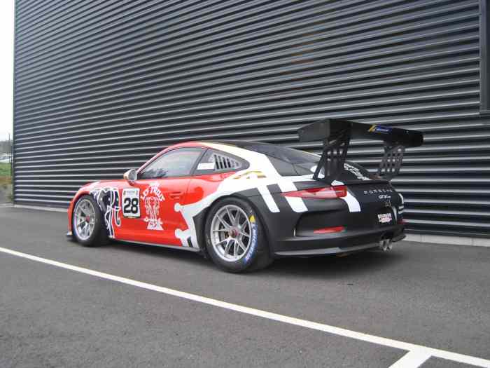 Porsche 991 GT3 Cup 2015 ABS 1