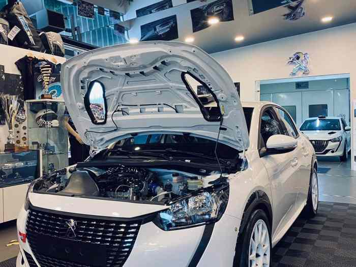 Peugeot 208 Rally 4 4