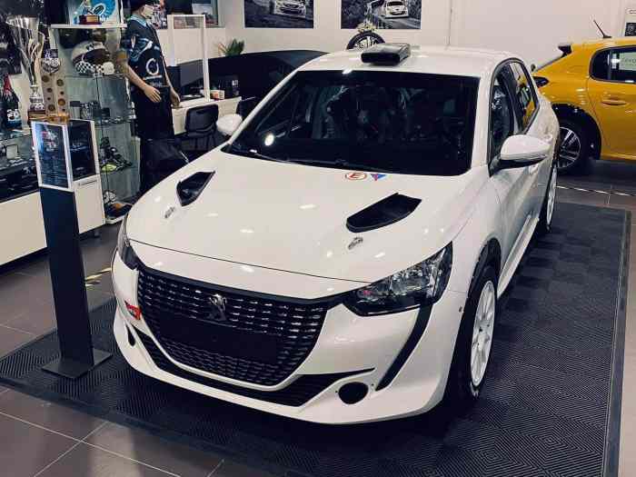 Peugeot 208 Rally 4 1