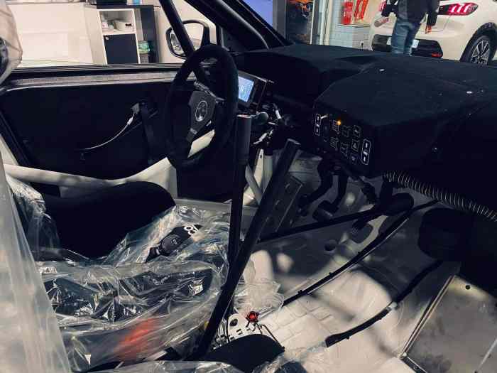 Peugeot 208 Rally 4 2