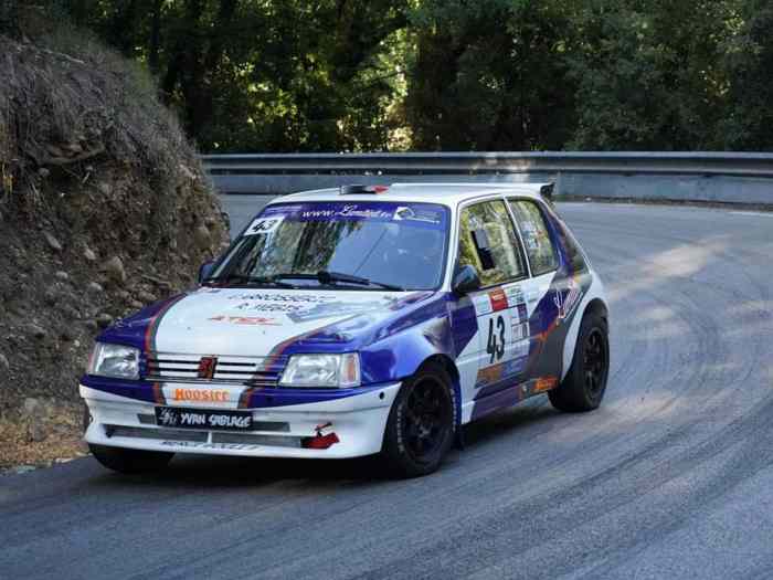 Peugeot 205 F2000/14 0