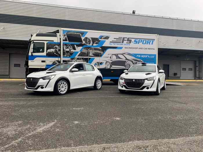 Peugeot 208 Rally 4 0