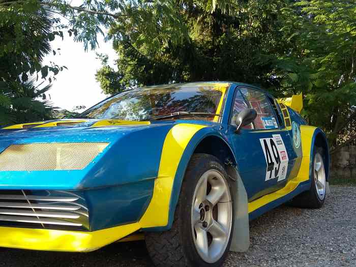 ALPINE A310 EX RALLYCROSS 1