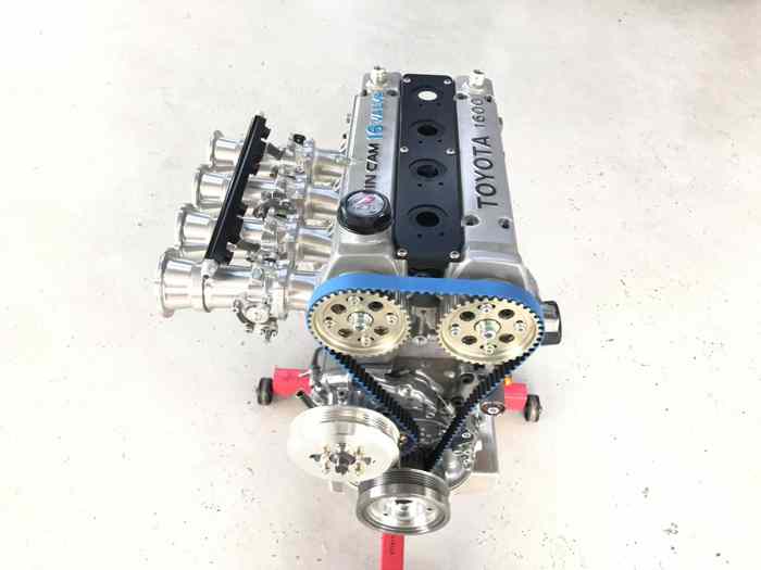 Admission papillon AT POWER – photo 3 sur 5