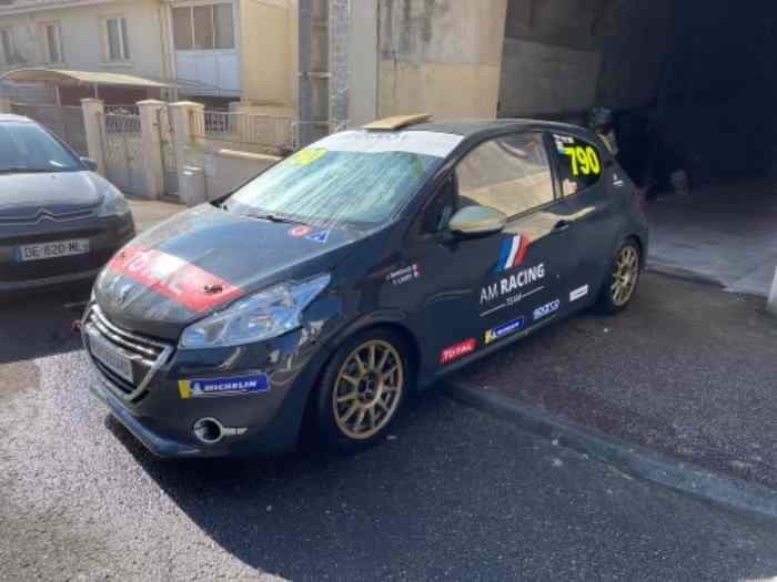 Peugeot 208 Cup - Ultimate Cup 0