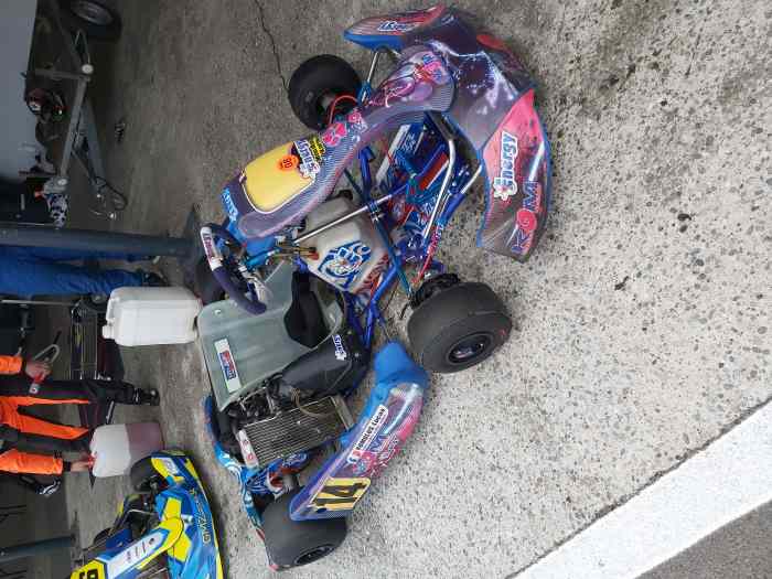 Karting 125 2temps rotax max 1