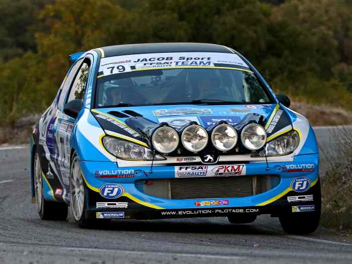 À VENDRE PEUGEOT 206 MAXI F2/14 0