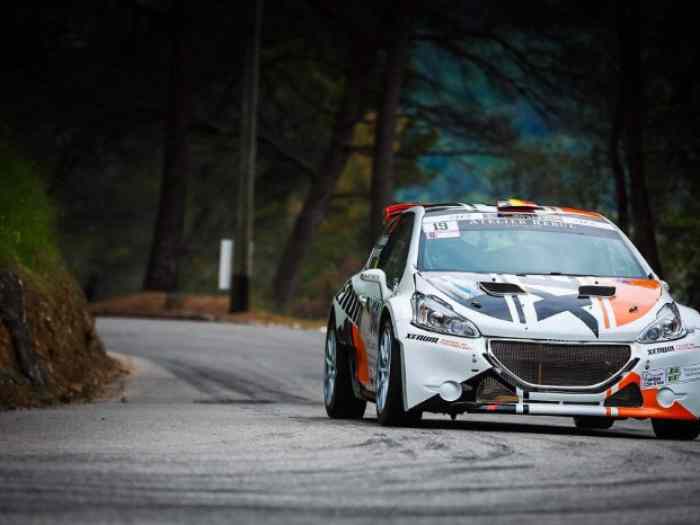 Peugeot 208 T16 R5 EVO + beaucoup des pièces 0