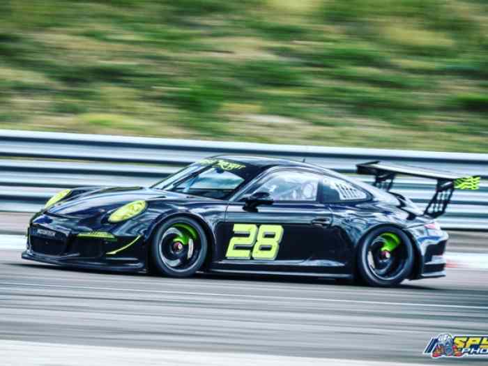 991 GT3 Cup 3.8L 2015