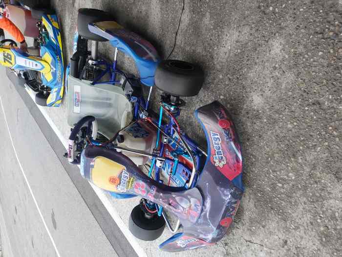 Karting 125 2temps rotax max 0