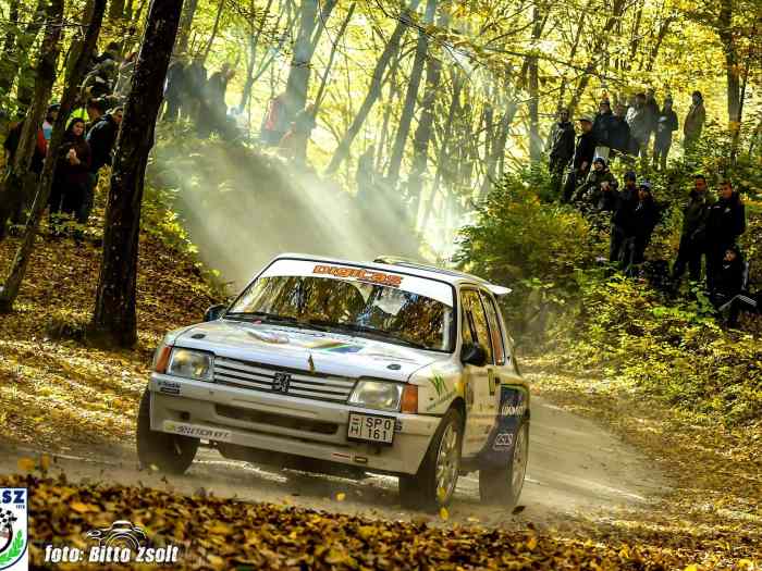 Peugeot 205 F2000 3