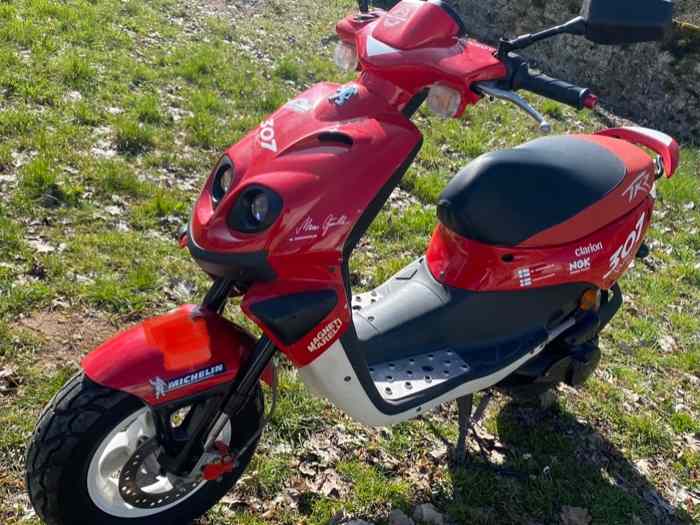 Scooter Peugeot 307 WRC 1