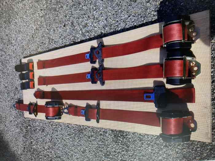 Ceinture 106 store