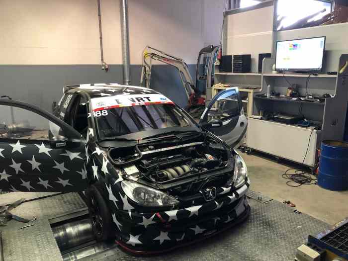 Peugeot 206 RC (FIA) 4