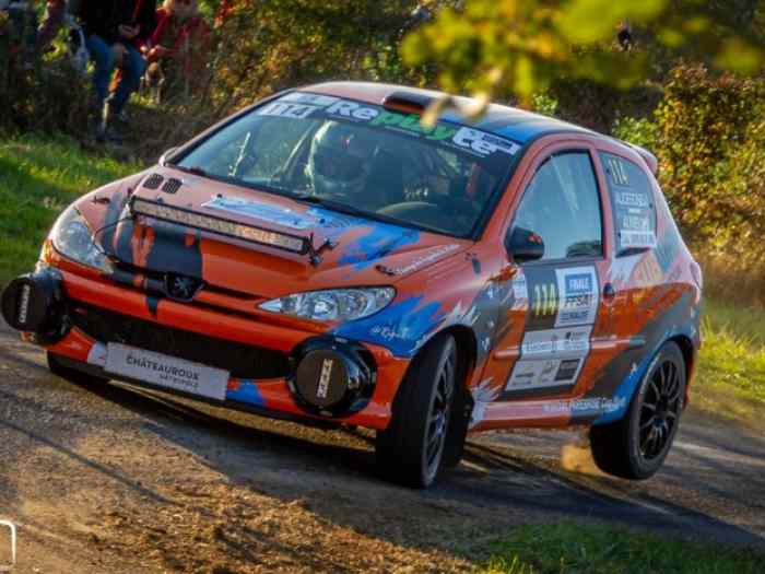 Peugeot 206 RC Groupe A 1