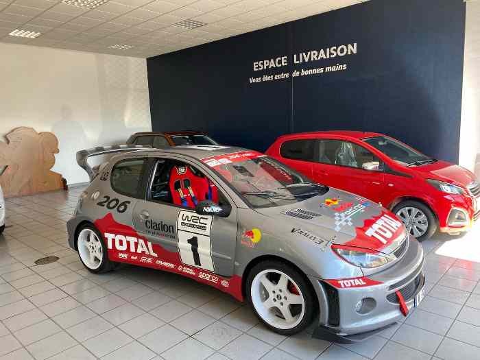 Peugeot 206 S16 2.0L WRC 0