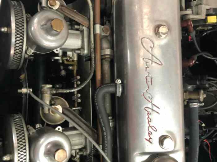 AUSTIN-HEALEY - 100 (4 cylindres) - 1956 3