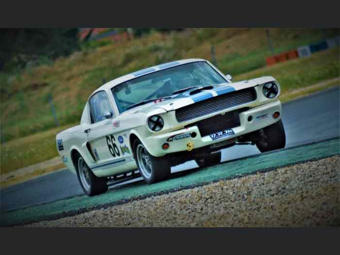 MUSTANG SHELBY GT350R 5