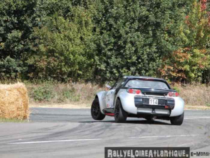 [VENDUE MERCI MIKADO] smart roadster F2011 1