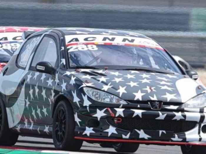Peugeot 206 RC (FIA) 0