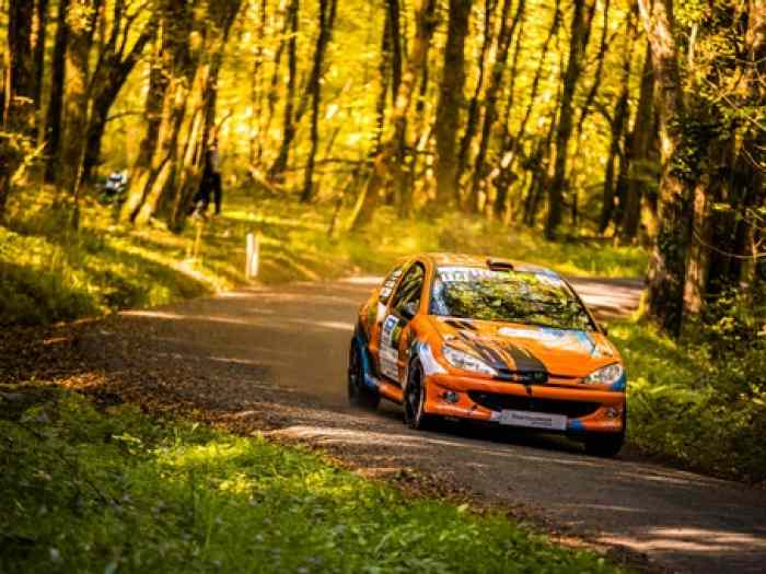 Peugeot 206 RC Groupe A 3