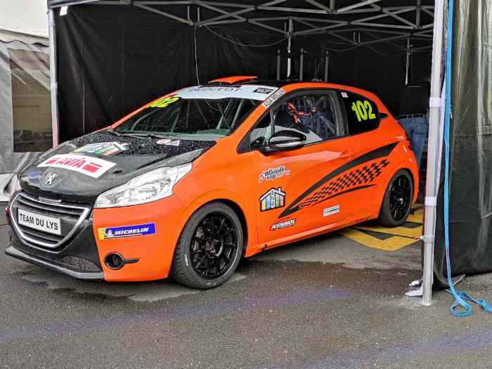 Peugeot 208 cup