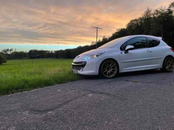 Peugeot 207 Rc Cup 280hp Échanger 0