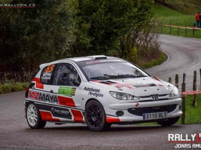 Peugeot 206 F2000 0