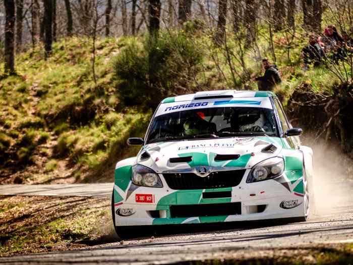 Skoda fabia s2000 ex officiel Skoda Motorsport nº90