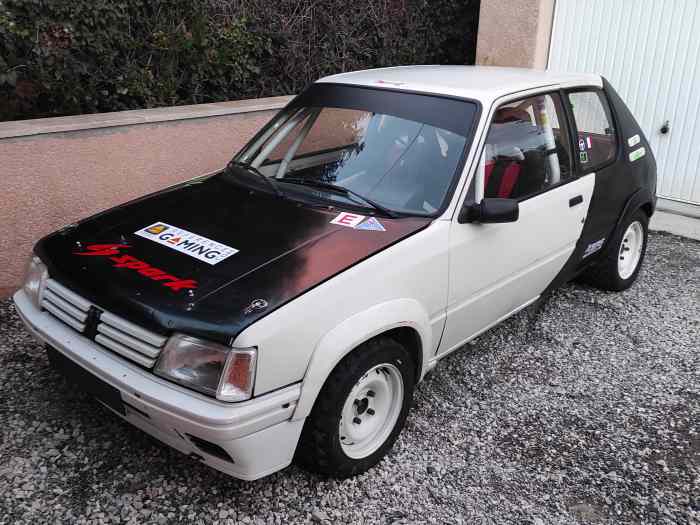 205 Rallye Groupe FA 5 0