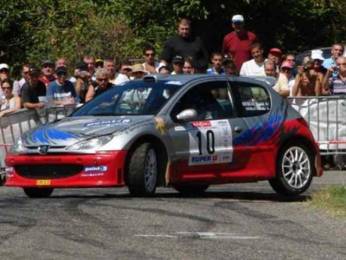 lot de pièces Peugeot 206 super 1600 0