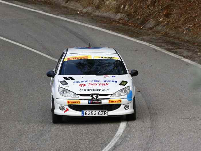 Peugeot 206 RC rallys