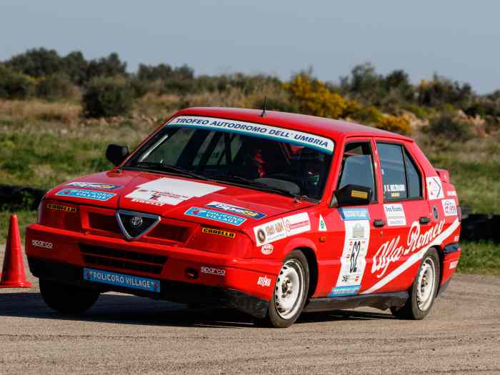 ALFA ROMEO 33 TROFEO 2