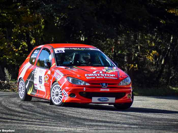 Peugeot 206 A6K 0