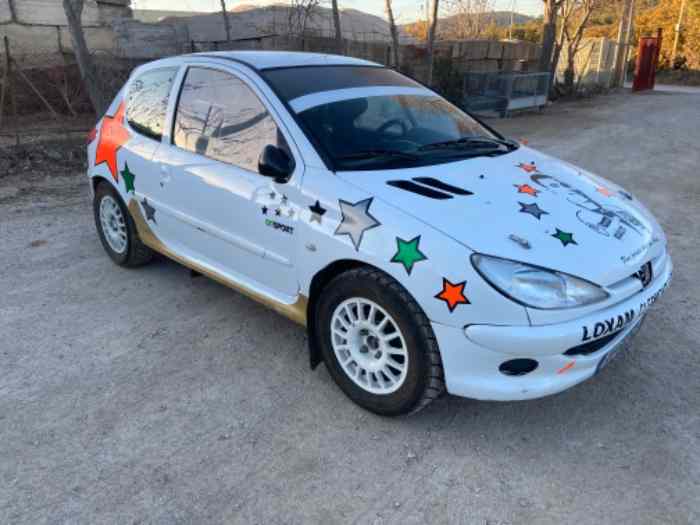 Peugeot 206 F2000-13 Terre