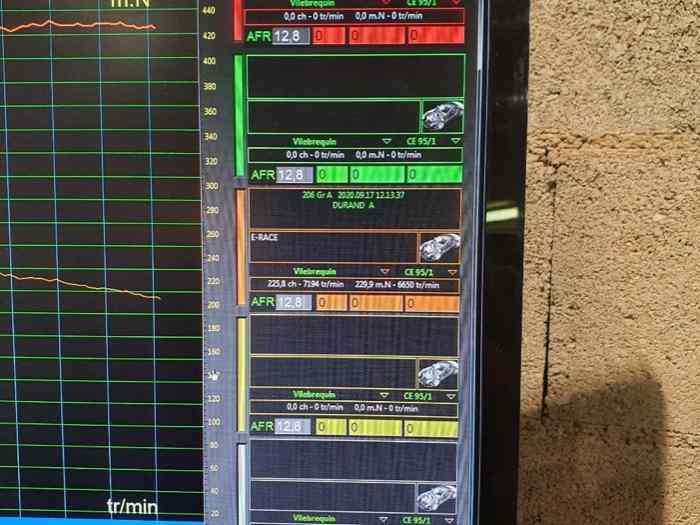 Moteur et gestion 206 RC groupe A
