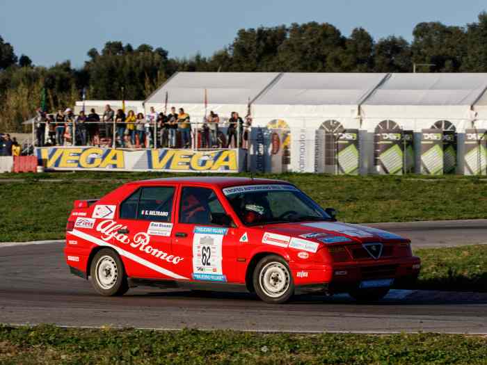 ALFA ROMEO 33 TROFEO 1