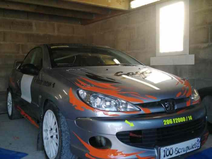 206 F2014 / VENDU /MERCI Mikado Racing – photo 1 sur 5